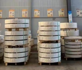 大學(xué)生釣到50斤大魚(yú)校園顯擺倆小時(shí)